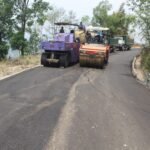 बासस्थान खलबलिँदा चराको सङ्ख्या घट्ने चिन्ता
