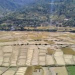  मुटु र दाँतको दुस्मन चिनी :डा अरुणा उप्रेती