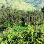 सम्पादकीय : डेङ्गी नियन्त्रणमा ध्यान देऊ !