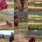 जलवायु परिवर्तनका कारण उत्पन्न आप्रवासनका चुनौतीलाई सम्बोधन गर्न तिलामा युवा कचहरी