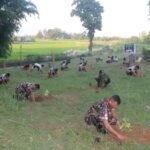 शुक्लाफाँटाका किसानलाई पचास प्रतिशत अनुदानमा आलुको बीउ वितरण  