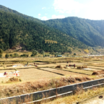 जुम्ला फुटबल प्रतियोगिता: दोस्रो दिन चार खेल