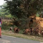 ‘प्रदेश स्वास्थ्य आपत्कालिन तयारी तथा प्रतिकार्य योजना’ निर्माण गरिँदै