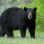 “पाखोबारीको गरिबी, छोराछोरीको भोको भविष्य : दलित समुदायको कथा”