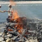 जुम्ली किसानलाई मार्सीधान काट्न चटारो