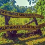 व्यावसायिक फूलखेतीबाट रु आठलाख आम्दानी