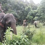 पुनःनिर्माण कोषमा छ करोड २४ लाख सङ्कलन