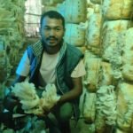 वीरगञ्ज नाका हुँदै तीन महिनामा आठ अर्ब ७० करोडका सवारीसाधन भित्रियो