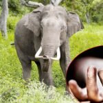 जेनजी आन्दोलनका सहिद परिवारको माग : दोषीमाथि अविलम्ब कारबाही होस्‌