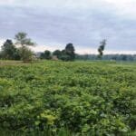 विद्यालयमा आगालागी हुँदा दुई करोड बढीको क्षति