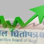 एनपिएलः नेपाली खेलाडीको उत्कृष्ट प्रदर्शन 