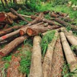 स्वास्थ्य शिविरबाट दुई सय ७२ जना लाभान्वित