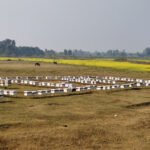 सहकारीको सहाराले व्यावसायिक बन्दै मुक्त कमैया महिला