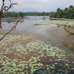 पुटिनको भारत भ्रमणले रणनीतिक साझेदारीलाई नयाँ गति दिने