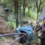 विषादीको प्रयोगले मानव स्वास्थ्यमा असर