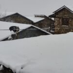 इन्फ्लुएन्जा ‘फ्लू’बाट बच्न आग्रह