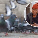 निर्वाचन ५३ दिन बाँकीः सामाजिक सञ्जाल आचारसंहिताको दायरामा 