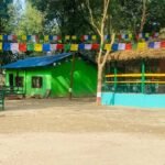 डिभिजन वन कार्यालयद्वारा सालका काठ बरामद 