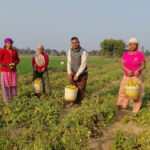 लोकतन्त्रको आत्मा निर्वाचन : आयुक्त तुलाधर