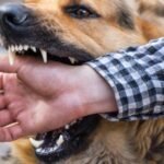 आगामी जेठमा एभरेष्ट टुरिजम अवार्ड र विश्व शान्ति सम्मेलन