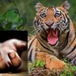 लुम्बिनी प्रदेश लोक सेवा आयोगका अध्यक्ष र सदस्यको सपथ