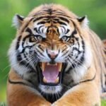 सम्पादकीय : भ्रामक र द्वैषपूर्ण सामग्रीमा प्रतिवन्ध लगाऊ !