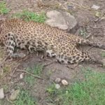 नरेश भण्डारीकाे चुनावी प्रशिक्षणकाे कार्यक्रममा बालबालिकाको प्रयोग