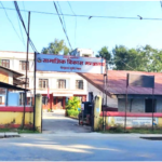 पैसाको लोभले उजाडिँदै दैलेखका वन, चुत्रोको जरा उखेलिँदा हरियाली संकटमा