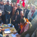 पैसाको लोभले उजाडिँदै दैलेखका वन, चुत्रोको जरा उखेलिँदा हरियाली संकटमा