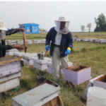 निर्वाचन प्रहरी : ४० दिनको जागिर, वर्षौँको बेरोजगारी