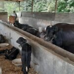 नगद कारोबारको सीमा बढाउन निजी क्षेत्रको माग