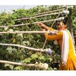 भरपर्दो सुरक्षा योजनाका साथ प्रहरी परिचालन गर्नुपर्ने