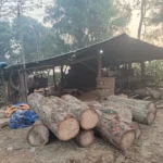 आजदेखि नेपालगञ्जमा घरेलु तथा साना उद्योग महोत्सव