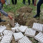 कर्णाली राजमार्गकाे धाैलापानीमा ईभी गाडी दुर्घटना : ७ जना घाइते, २ को अवस्था गम्भीर