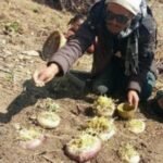 ईभी गाडी दुर्घटनाका गम्भीर घाइते राेकाया लाई थप उपचारका लागि हेलिकप्टर मार्फत काठमाडौ रिफर