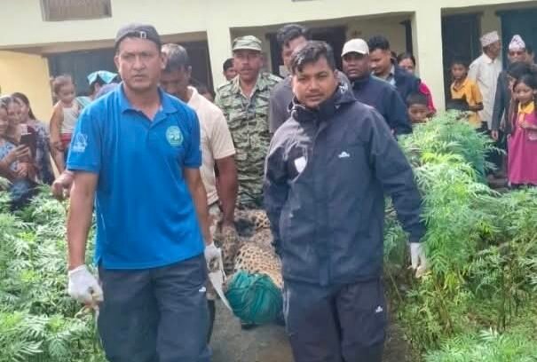 समस्याग्रस्त वन्यजन्तु नियन्त्रणमा लिन प्राविधिक टोली परिचालन