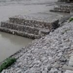 शुक्लाफाँटा राष्ट्रिय निकुञ्जमा फागुन २३ गतेदेखि बाघ गणना