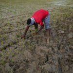 कालोसूचीमा पर्नेको सङ्ख्या छोटो बनाउनेतर्फ काम भइरहेको छ : गर्भनर