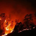 आमाको शव फेला, दुई नाबालक सन्तानको अवस्था अज्ञात