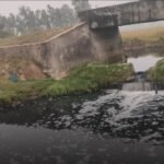 शुक्ला–लालझाडी–जोगबुडा कम्प्लेक्समा बाघ गणना सुरु