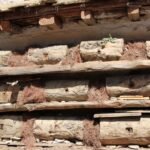 खर काट्न निकुञ्ज गएका ६२ वर्षीय ओली मृत फेला