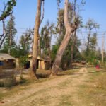 खाता जैविक मार्गमा मानव–वन्यजन्तु द्वन्द्व न्यूनीकरण प्रयास: आयआर्जन र लघु घर बिमाबाट स्थानीयलाई टेवा