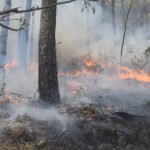 सिंजाको सांस्कृतिक धरोहर जोगाउन कनकासुन्दरीमा ‘कसंम कला घर’काे शिलान्यास