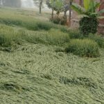 बड्घर–चौकीदारलाई साईकल वितरण