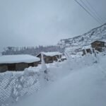 केराखेती प्रवद्र्धन गर्न कृष्णपुरका किसानलाई अनुदानमा बिरुवा