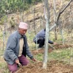 आगलागीपीडित बालबालिकालाई कालिकाको अध्ययन सामग्री सहयोग