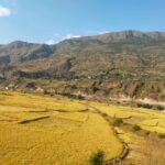जिर्ण साइकल र अवैध काठ लिलामबाट   ४२ लाख बढी राजस्व संकलन