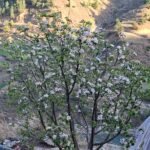 घुयँत्राे:“गगनको जिद्दी, काँग्रेसको सिद्धि—दुई टुक्रा, प्रेसविज्ञप्ति दैनिक!”