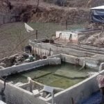 नेपालगञ्जमा २२ हजार क्विन्टल चामल मौज्दात, मूल्य घटेपछि बजार माग बढ्यो