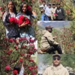 कोहलपुरमा टिप्परसँग मोटरसाइकल ठोक्किँदा आमाको मृत्यु, छोरा घाइते